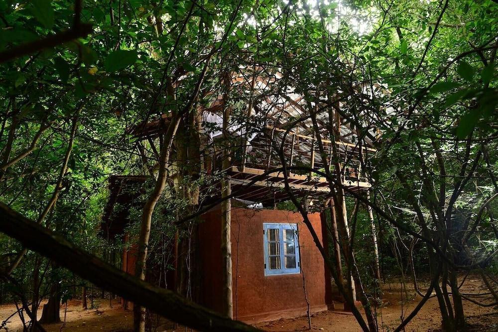 Vila Back Of Beyond - Pidurangala Sigiriya Exteriér fotografie